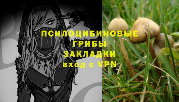 гашиш Магас